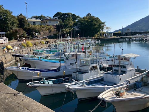 尾鷲の漁港の一角。漁船がずらりと係留されていて、時折波の音や船の揺れる音がする。