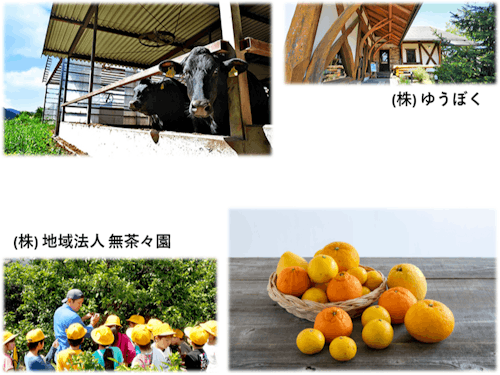 第3回（11月訪問）の企業