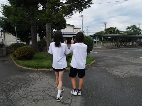 フィールドワークの様子