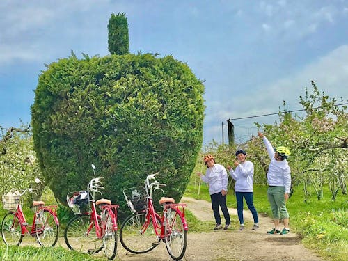 サイクリングで隠れた名所巡り「りんごの形の木」