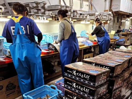 出荷作業の様子