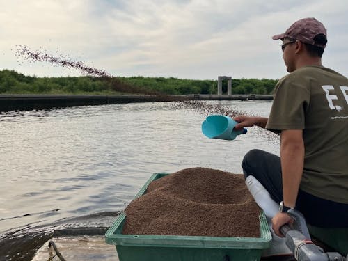 毎日のエサやり風景