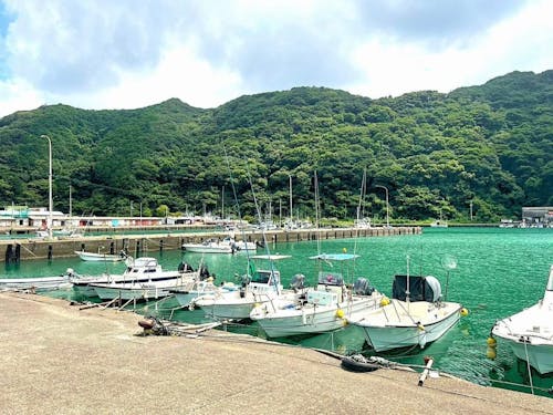 店舗近くの小江港