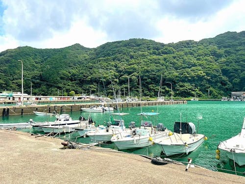 店舗近くの小江港