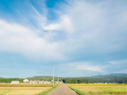 四季折々の風景が暮らしの一部になっています