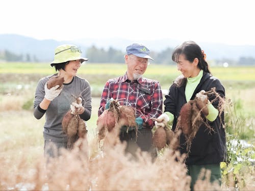収穫体験の現場に立ち会い、新しいコンテンツを考えたり