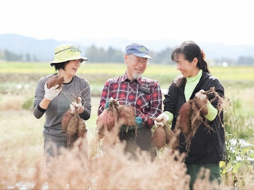 収穫体験の現場に立ち会い、新しいコンテンツを考えたり