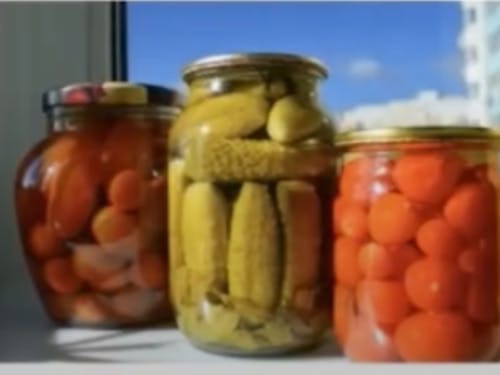 獲れたて野菜でピクルス作り体験