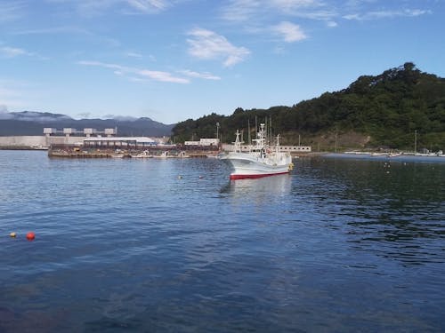 漁に向かう船の姿