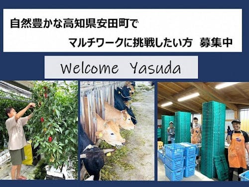 マルチワークに興味のある方、お待ちしています!