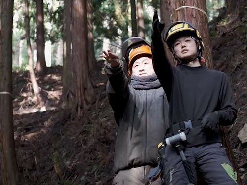 林業の現場を見学予定