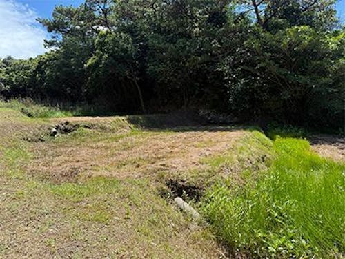 【課題解決】荒れてしまっている逆田