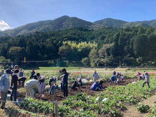 有機農業教室に参加!畑作業に皆さん目が輝いています✨