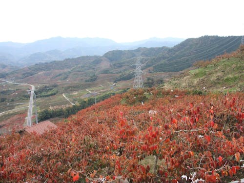 九度山町の風景📸