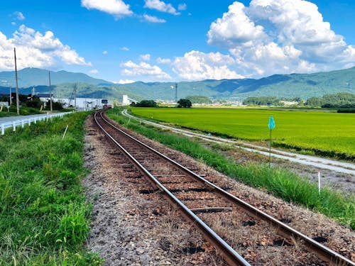 フラワー長井線が走る田園
