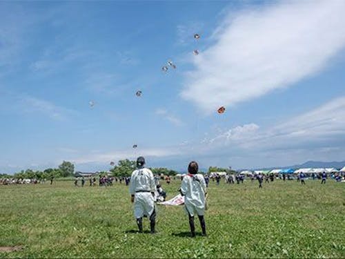 毎年6月に行われるいか合戦