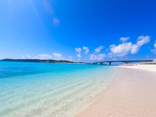 穏やかな日は50m程下まで見える抜群の透明度!