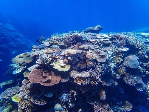 どこからでも5分走れば海!お仕事終わりにも行けちゃいます◎