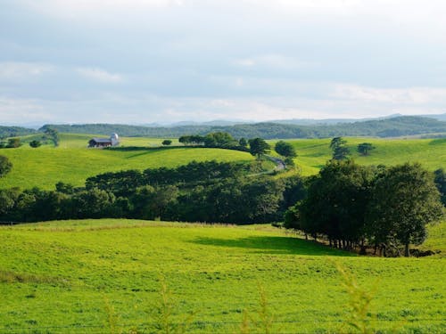 大野地区で見れる高原の風景