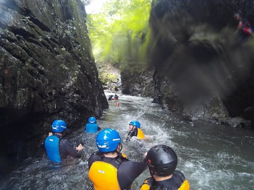 自然を満喫できるアクティビティ