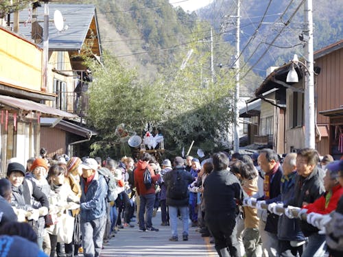 お正月の伝統行事"お松引き"