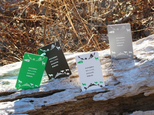 アンバサダー制度入会特典"アンバサダーカード"