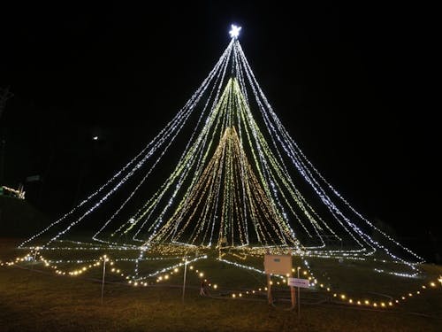 シンボルの20mツリー