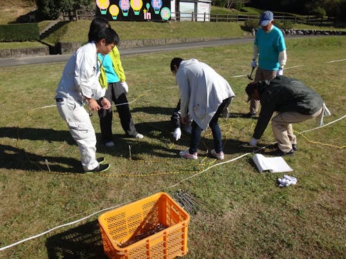 飾り付け作業にあたり、知識は必要ありません。
