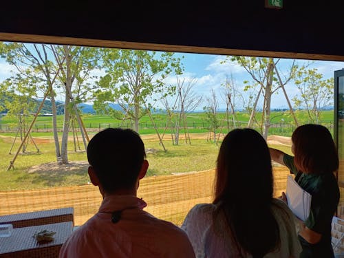 保育園見学の様子