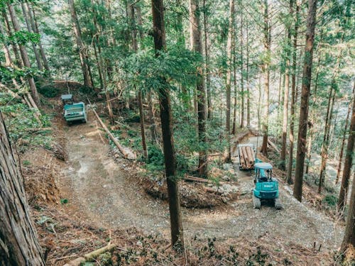 作業道開設の風景