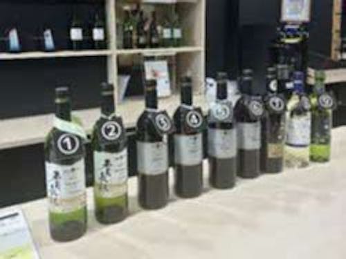 試飲コーナー。かなり多くの種類のワインが試飲できます。