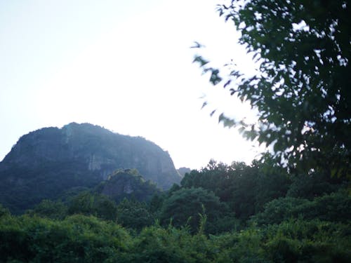 妙義山(富岡市)