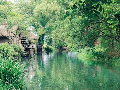 大王わさび農場横を流れる蓼川