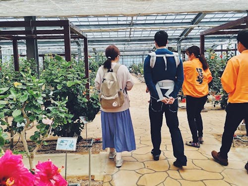 移住体験プログラムの様子