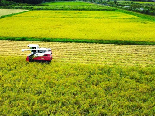 紀北町の田園風景✨