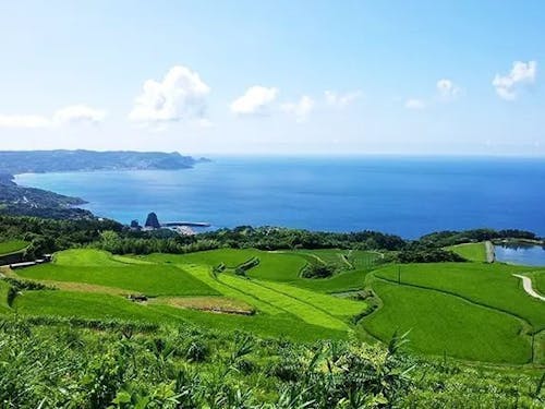 ①農業振興事業