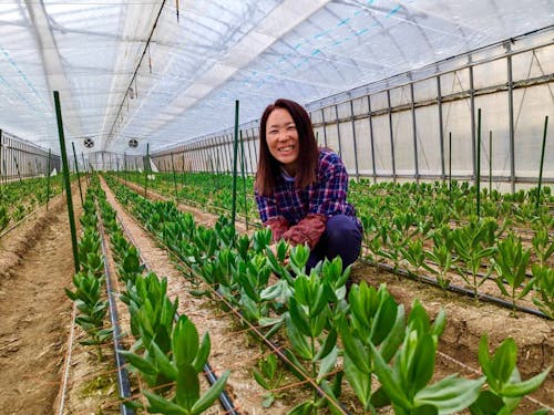 あぶくまカットフラワーグループに令和5年度入隊の地域おこし協力隊員です♪