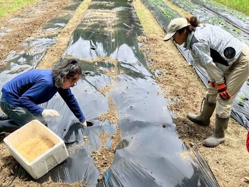 1期生の活動の様子