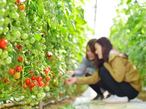 田原市の魅力を気軽に体験できる、観光体験博覧会「たはら巡り〜な」開催中！