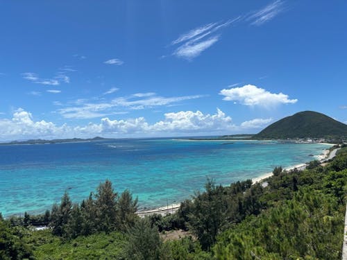 高台から島の南を望む