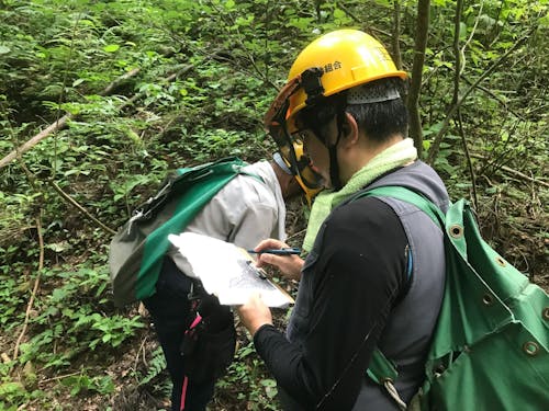 現場管理職員の仕事/山中を歩き、様々な調査をします。