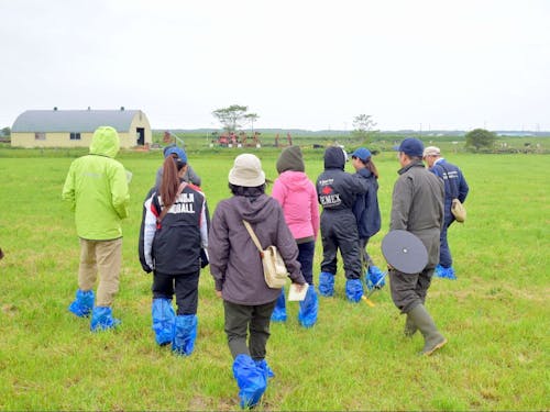 広大な牧草地がフィールド