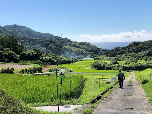 海あり山ありの豊かな自然！田園風景が広がります（画像は佐多辺塚）