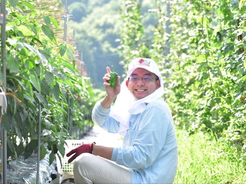 過去ツアーの様子① 収穫体験