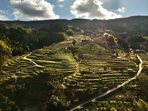 中田の棚田 この棚田を次世代に繋いでいきたい