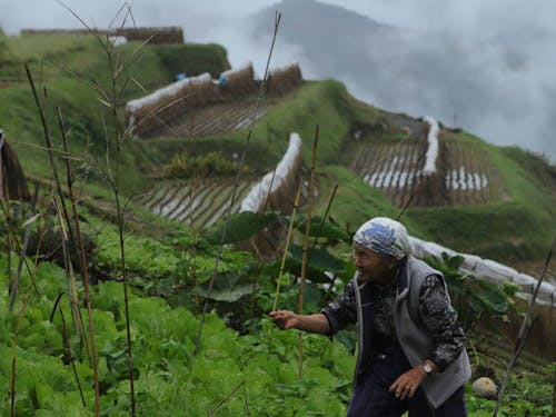 平地の少ない、山間部ならではの暮らし