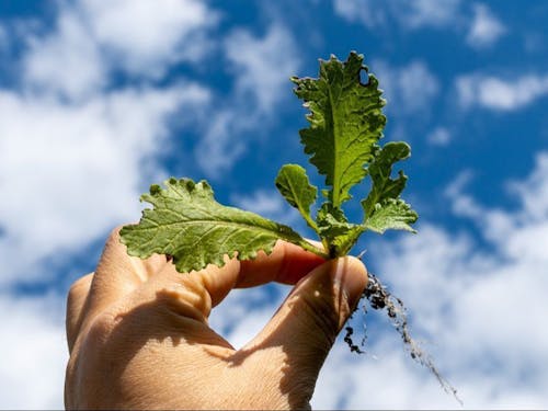 自然豊かな兵庫県多可町が舞台です