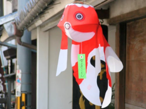 つぶらな瞳がかわいい柳井金魚ちょうちん