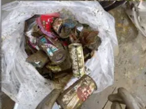 ゴミの清掃活動も兼ねています