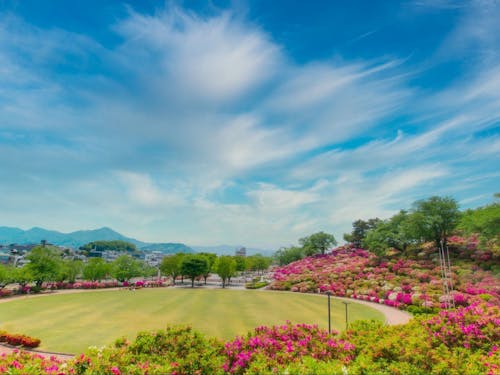 清光さんの出身の鯖江市の西山公園